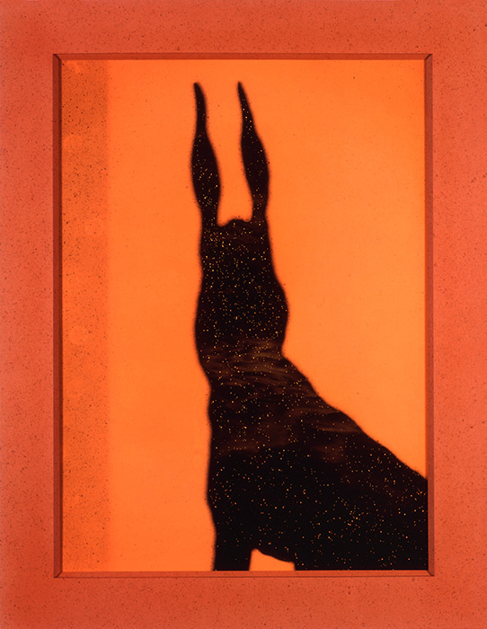 The Rabbit #0733, 1994, photograph by Todd Watts