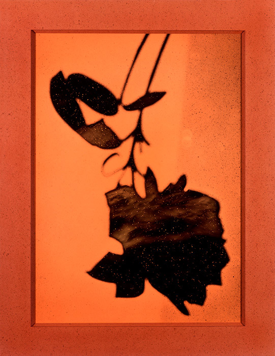 The Rose #0730, 1994, photograph by Todd Watts